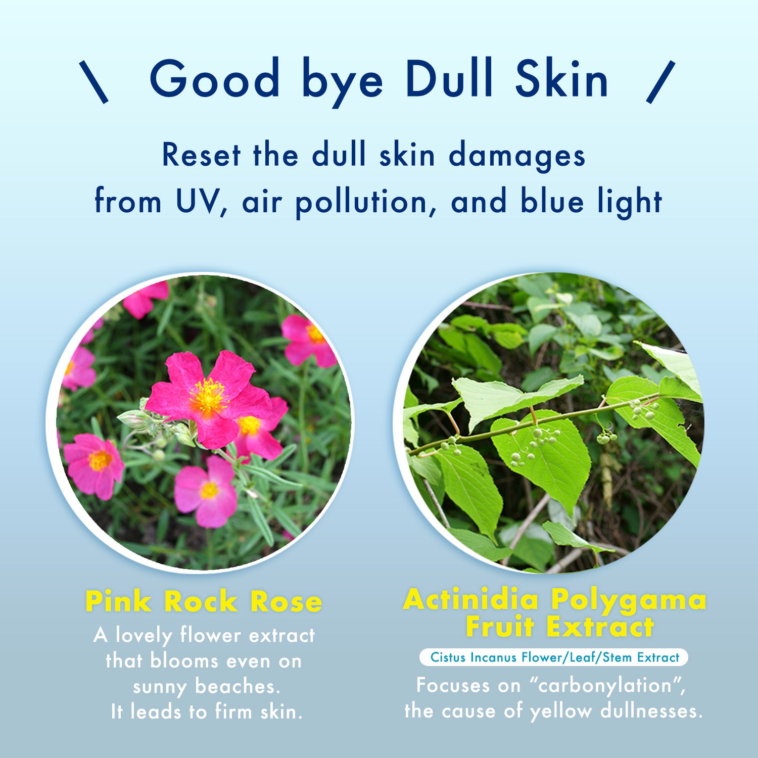 reset the dull skin damages from UV, air pollution, and blue light