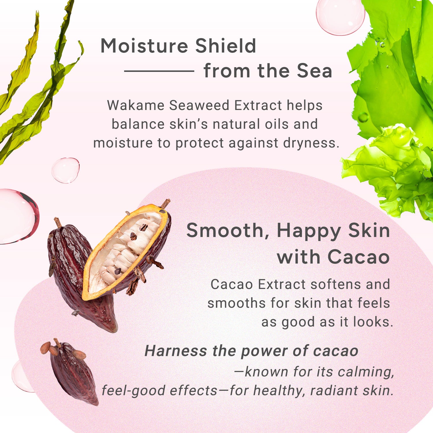 Product description with Wakame seaweed and cacao extract on a pink background