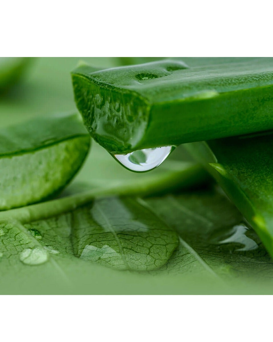 aloe