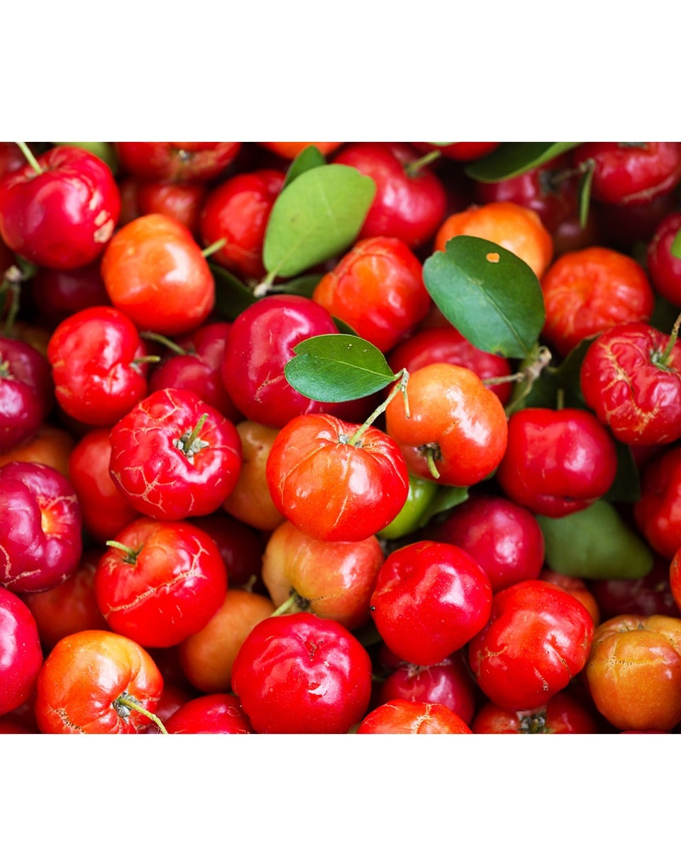 acerola